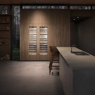 Винный холодильник Gaggenau RW466365 фото 3 в Ростове-на-Дону