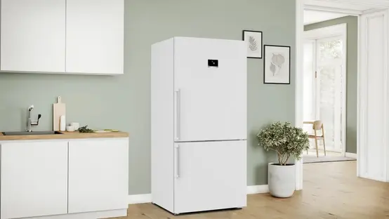 Холодильник Bosch KGP86FWC0N фото 2 в Ростове-на-Дону