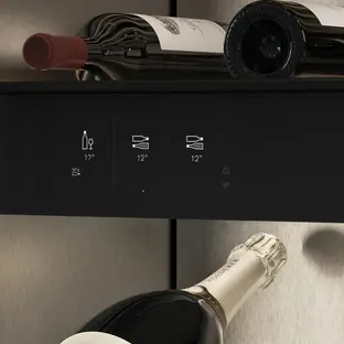 Винный холодильник Gaggenau RVW417170 фото 2 в Ростове-на-Дону