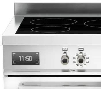 Варочный центр Bertazzoni PRO905IMFESBIT фото 3 в Ростове-на-Дону