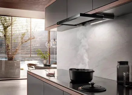 Вытяжка Miele DAS 2620 Matt-Schwarz фото 3 в Ростове-на-Дону