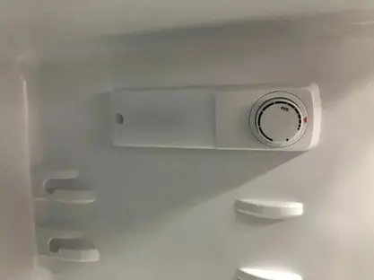 Холодильник Gorenje RF4141PW4 фото 3 в Ростове-на-Дону