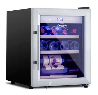 Винный холодильник Cold Vine C12-KSF1 фото 1 в Ростове-на-Дону