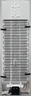 Холодильник Electrolux RRT5MF38W1 фото 3 в Ростове-на-Дону Холодильник Electrolux RRT5MF38W1 фото 3 в Ростове-на-Дону