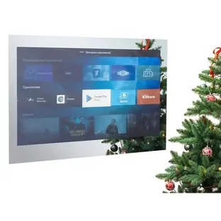 Телевизор для ванной комнаты AVEL AVS555SMFM (AVS555SM Mirror HB) фото 1 в Ростове-на-Дону