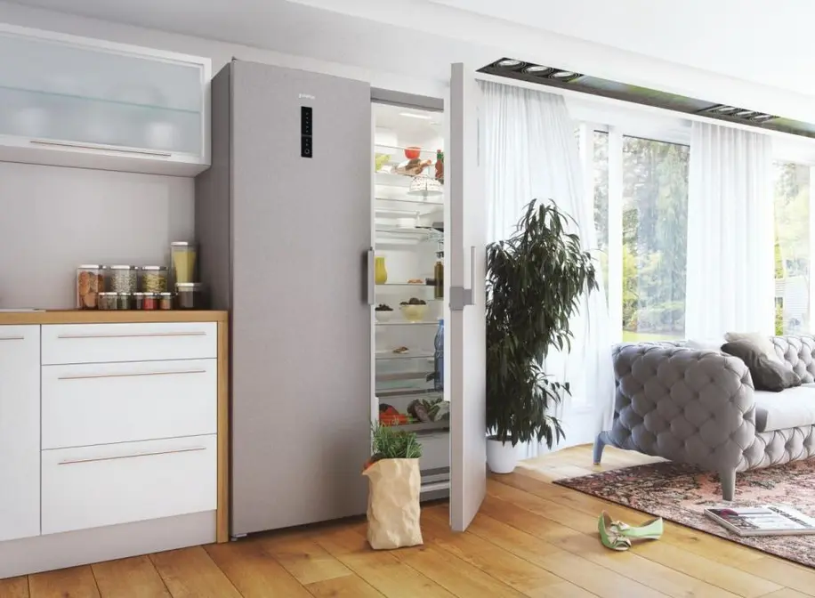 Холодильник Gorenje R6192LX фото 9 в Ростове-на-Дону
