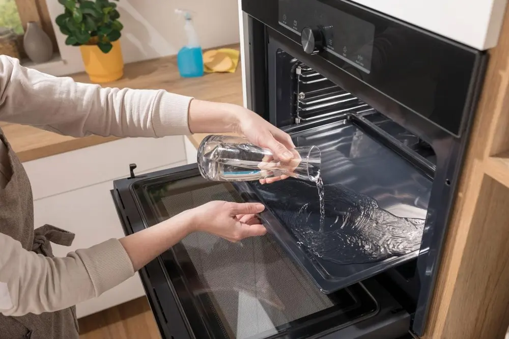 Духовой шкаф с функцией СВЧ Gorenje BCM4547A10BG фото 10 в Ростове-на-Дону