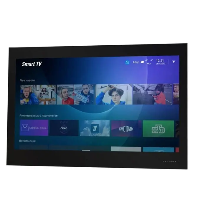 Телевизор для ванной комнаты AVEL AVS555SM (Black HB) фото 1 в Ростове-на-Дону Телевизор для ванной комнаты AVEL AVS555SM (Black HB) фото 1 в Ростове-на-Дону