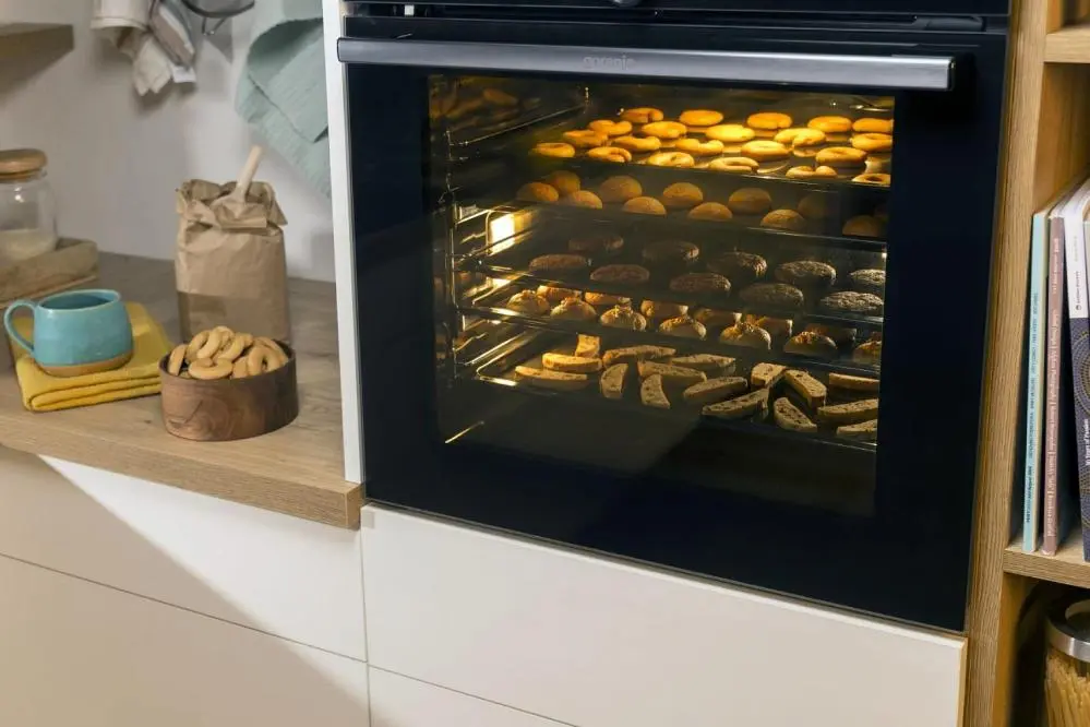 Духовой шкаф Gorenje BOS6737E13X фото 5 в Ростове-на-Дону