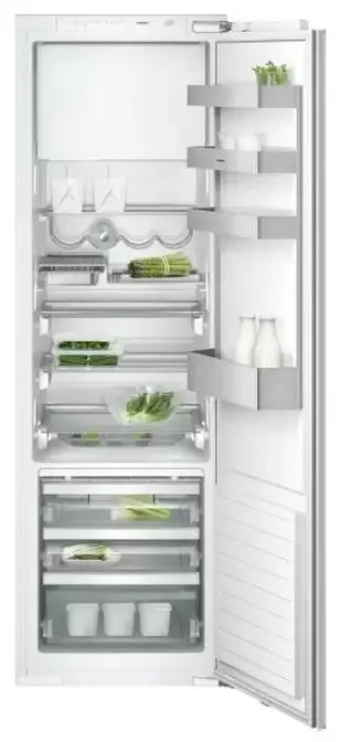 Холодильник Gaggenau RT 289-203 фото 1 в Ростове-на-Дону