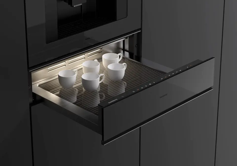 Шкаф для подогрева посуды Gaggenau GW251100 фото 6 в Ростове-на-Дону Шкаф для подогрева посуды Gaggenau GW251100 фото 6 в Ростове-на-Дону