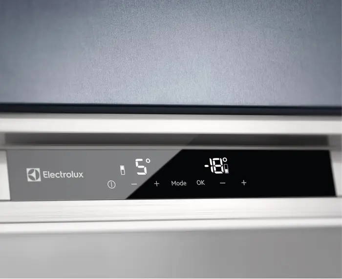 Холодильник Electrolux RNS9TE19S фото 6 в Ростове-на-Дону