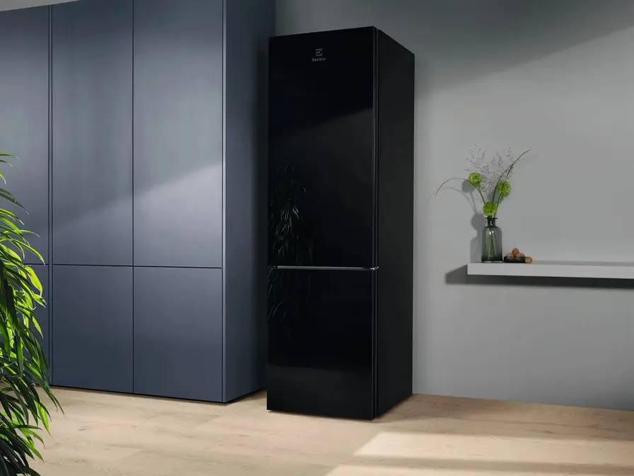 Холодильник ELECTROLUX LNT7ME36K2 фото 8 в Ростове-на-Дону