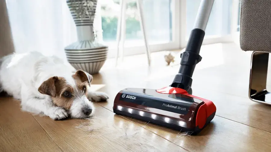 Пылесос Bosch  BCS711PET фото 2 в Ростове-на-Дону