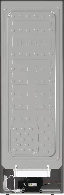 Холодильник Gorenje FN619FES5 фото 3 в Ростове-на-Дону