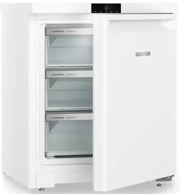 Морозильник Liebherr Fe 1003-20 001 фото 5 в Ростове-на-Дону