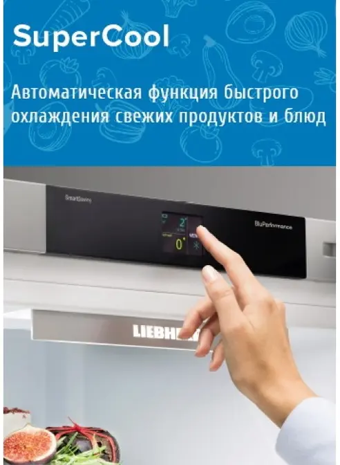 Холодильник Liebherr KBef 3730 фото 9 в Ростове-на-Дону