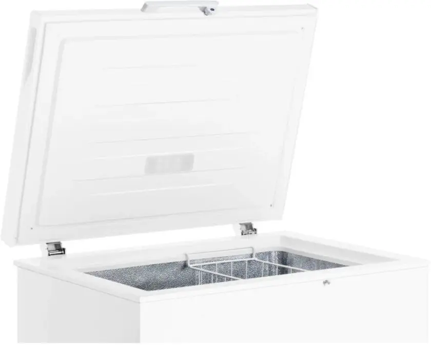 Холодильник Gorenje FH15FPW фото 4 в Ростове-на-Дону