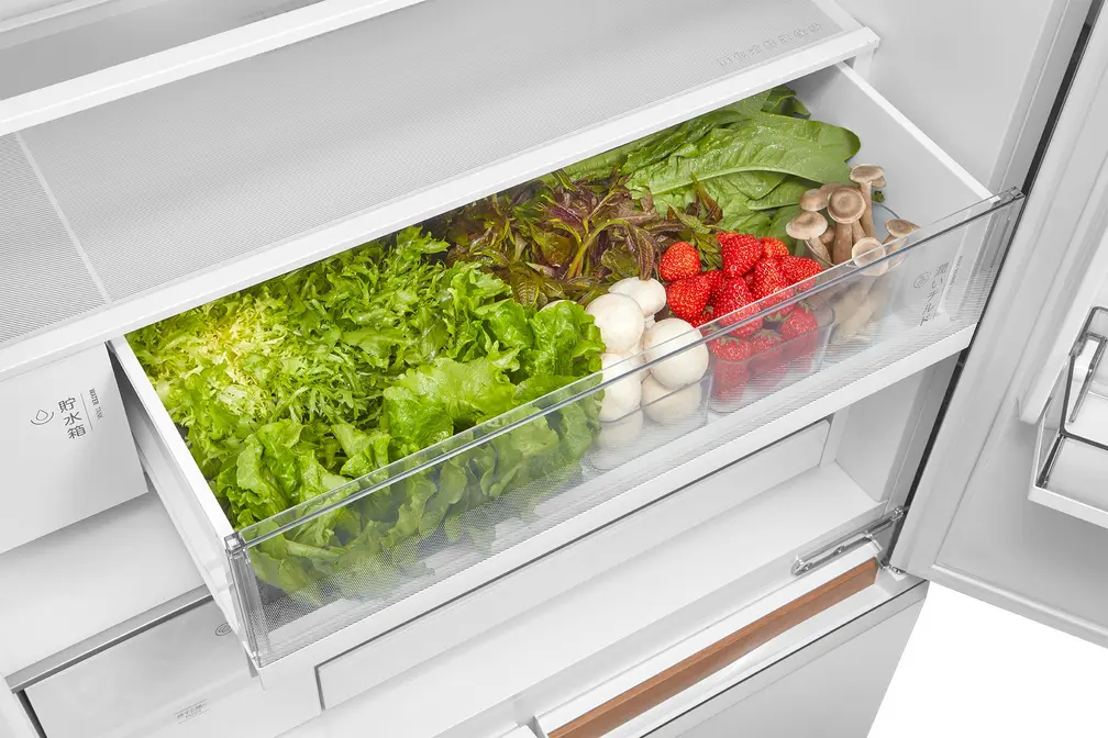 Холодильник Toshiba GR-RF695WI-PGJ(67) фото 11 в Ростове-на-Дону
