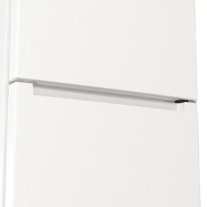 Холодильник Gorenje RK6191EW4 фото 4 в Ростове-на-Дону