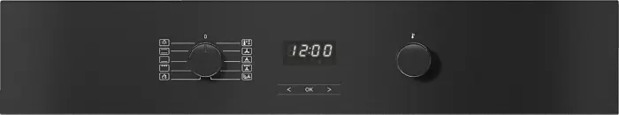 Духовой шкаф Miele H 2860 BP EDST/CLST фото 2 в Ростове-на-Дону