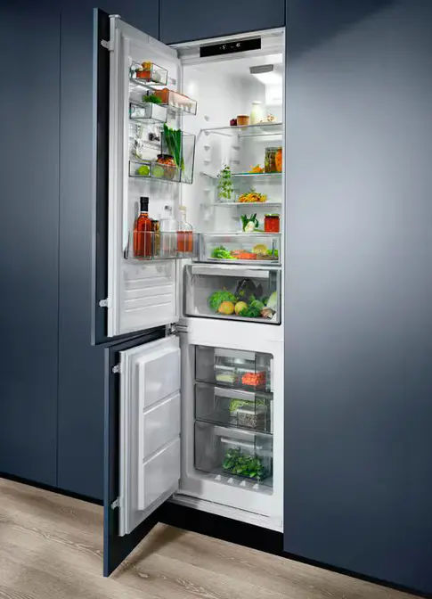 Холодильник Electrolux LNS9TE19S фото 5 в Ростове-на-Дону