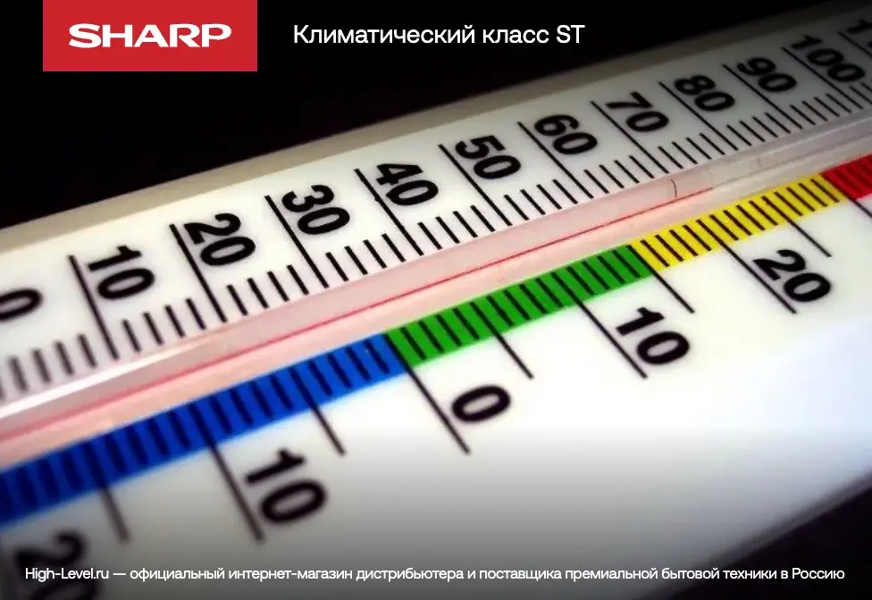 Холодильник Sharp SJ-FP97V-BE фото 7 в Ростове-на-Дону