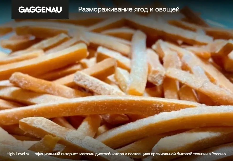 Шкаф для подогрева посуды Gaggenau WS462112 фото 2 в Ростове-на-Дону