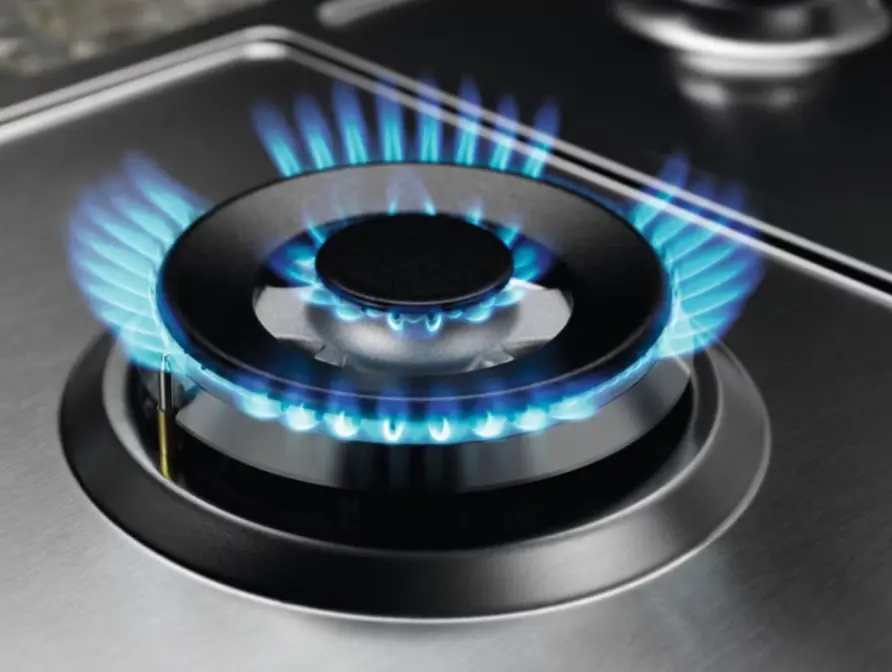 Варочная панель Electrolux EGS6436SX фото 9 в Ростове-на-Дону