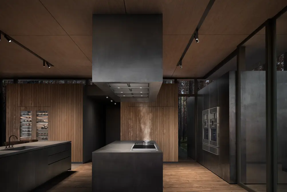 Вытяжка Gaggenau AC472181 фото 5 в Ростове-на-Дону Вытяжка Gaggenau AC472181 фото 5 в Ростове-на-Дону
