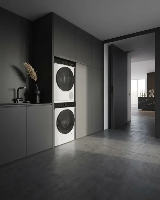 Стиральная машина Gaggenau WM260165 фото 5 в Ростове-на-Дону Стиральная машина Gaggenau WM260165 фото 5 в Ростове-на-Дону