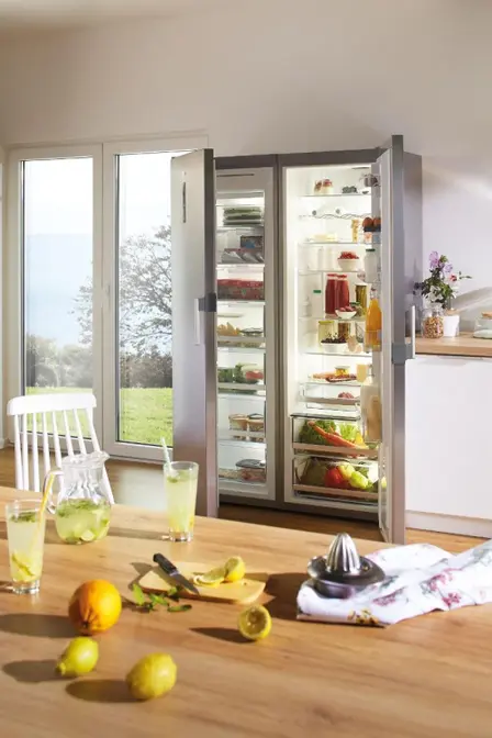 Холодильник Gorenje R6192LX фото 9 в Ростове-на-Дону