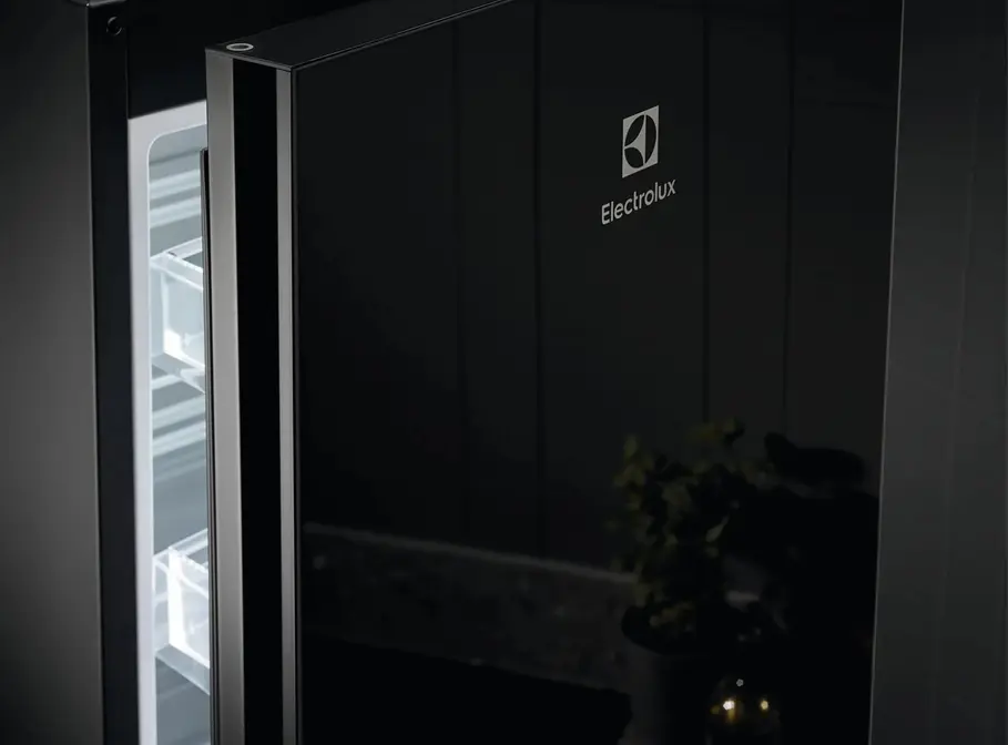 Холодильник ELECTROLUX LNT7ME36K2 фото 7 в Ростове-на-Дону