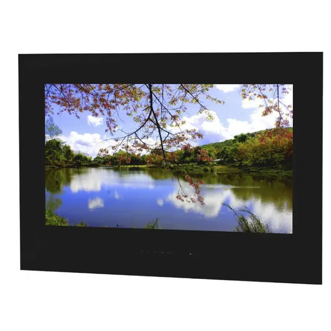Телевизор для ванной комнаты AVEL AVS245SMBF (AVS245SM Black) фото 1 в Ростове-на-Дону