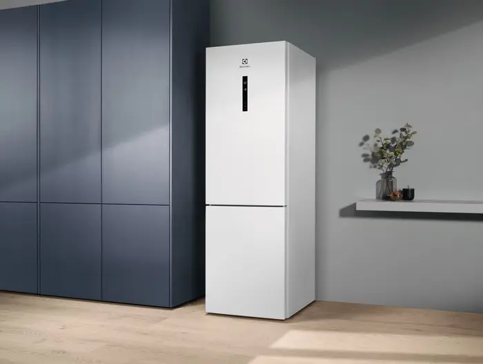 Холодильник Electrolux RNC7ME32W2 фото 3 в Ростове-на-Дону