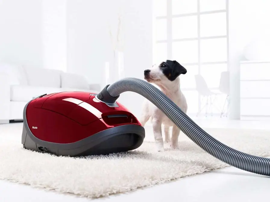 Пылесос Miele Complete C3 Cat&Dog Flex PowerLine SGEF5 в Ростове-на-Дону
