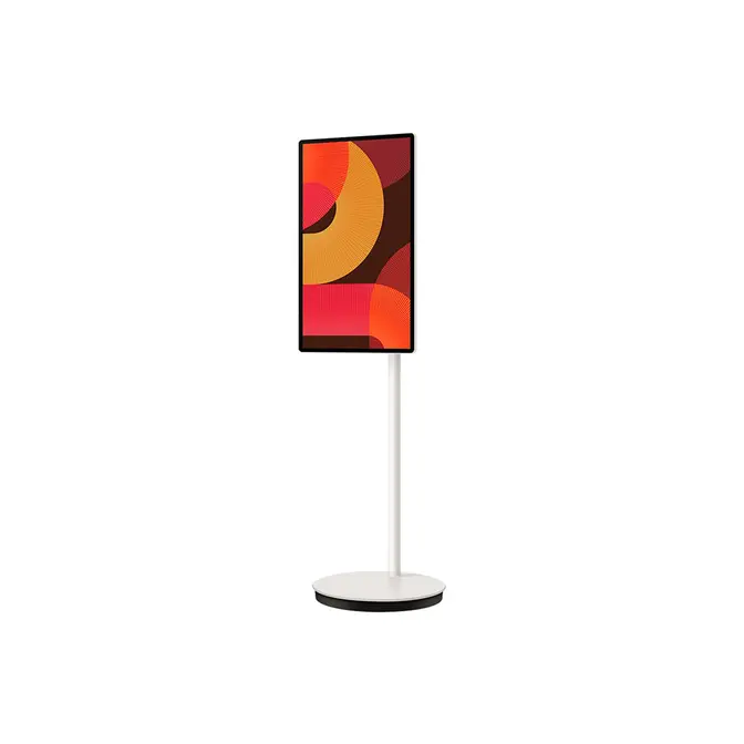 Портативный дисплей Samsung The Movingstyle фото 9 в Ростове-на-Дону