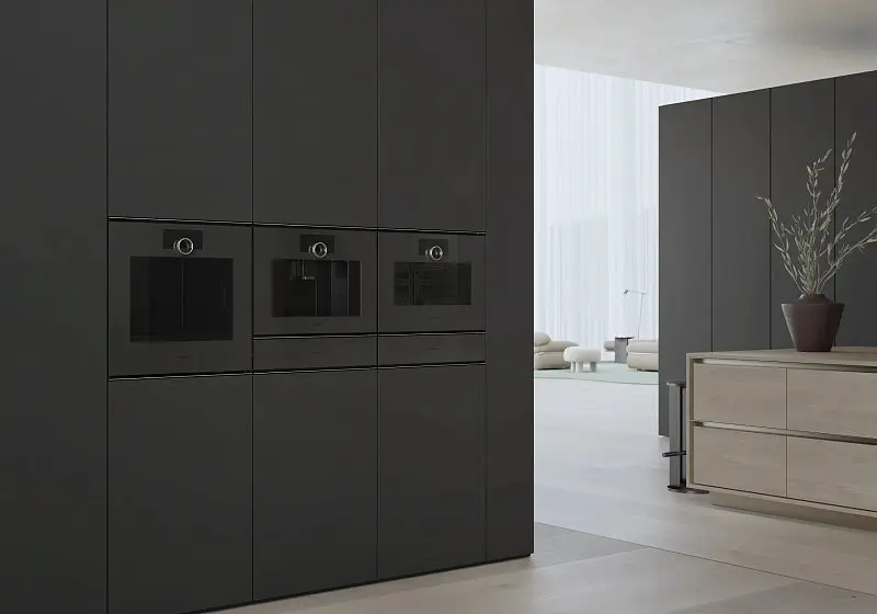 Пароварка Gaggenau GS240100 фото 4 в Ростове-на-Дону Пароварка Gaggenau GS240100 фото 4 в Ростове-на-Дону