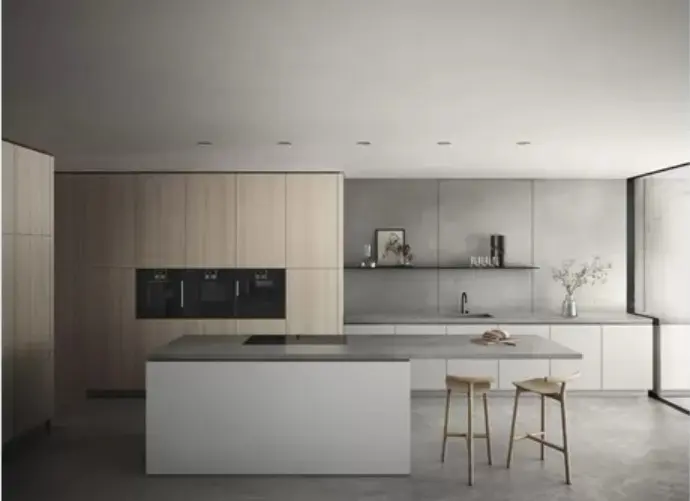 Духовой шкаф Gaggenau BSP250101 фото 4 в Ростове-на-Дону