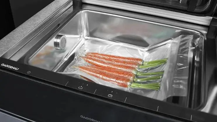 Вакуумный упаковщик Gaggenau DVP 221-130 фото 4 в Ростове-на-Дону Вакуумный упаковщик Gaggenau DVP 221-130 фото 4 в Ростове-на-Дону