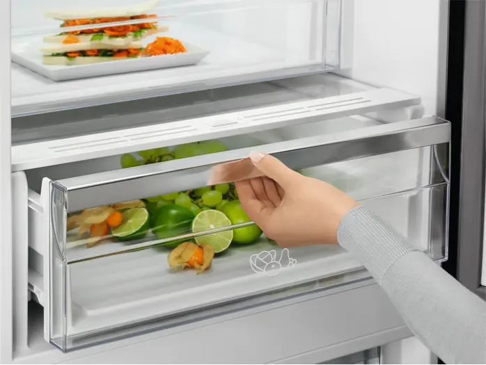Холодильник Electrolux RNC7ME34W2 фото 5 в Ростове-на-Дону