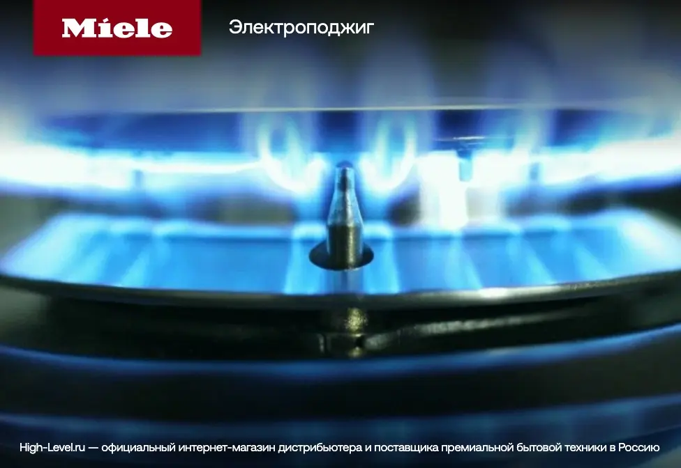 Элемент панели SmartLine Miele CS7102-1 FL фото 9 в Ростове-на-Дону