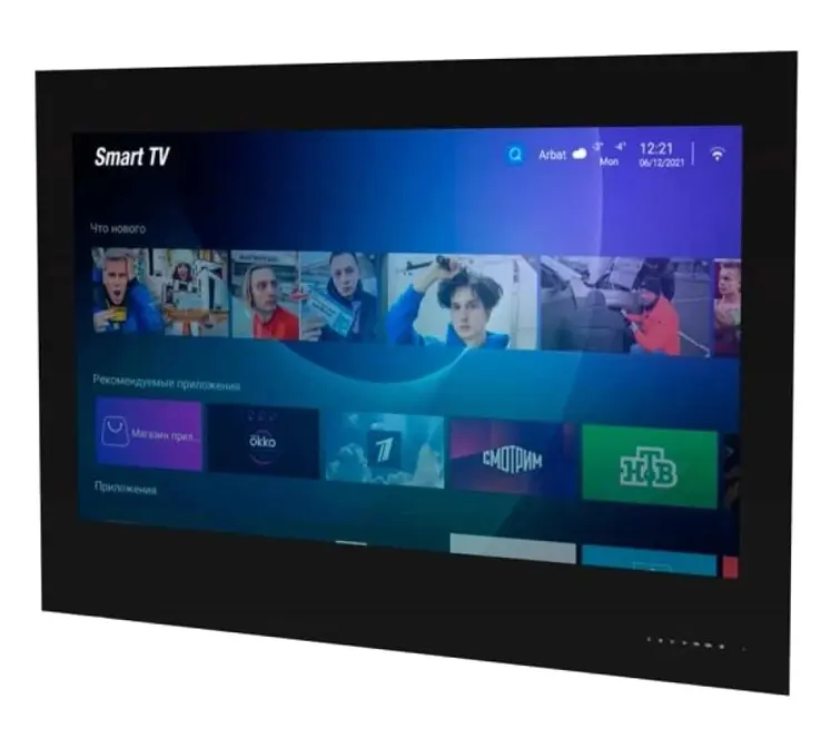 Телевизор для ванной комнаты AVEL AVS435SMBF (AVS435SM Black) фото 1 в Ростове-на-Дону Телевизор для ванной комнаты AVEL AVS435SMBF (AVS435SM Black) фото 1 в Ростове-на-Дону