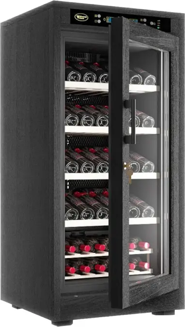 Винный холодильник Cold Vine C66-WB1M фото 4 в Ростове-на-Дону