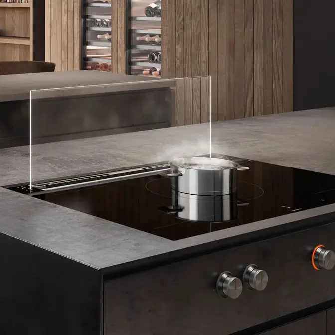 Вытяжка Gaggenau AL200190 фото 3 в Ростове-на-Дону