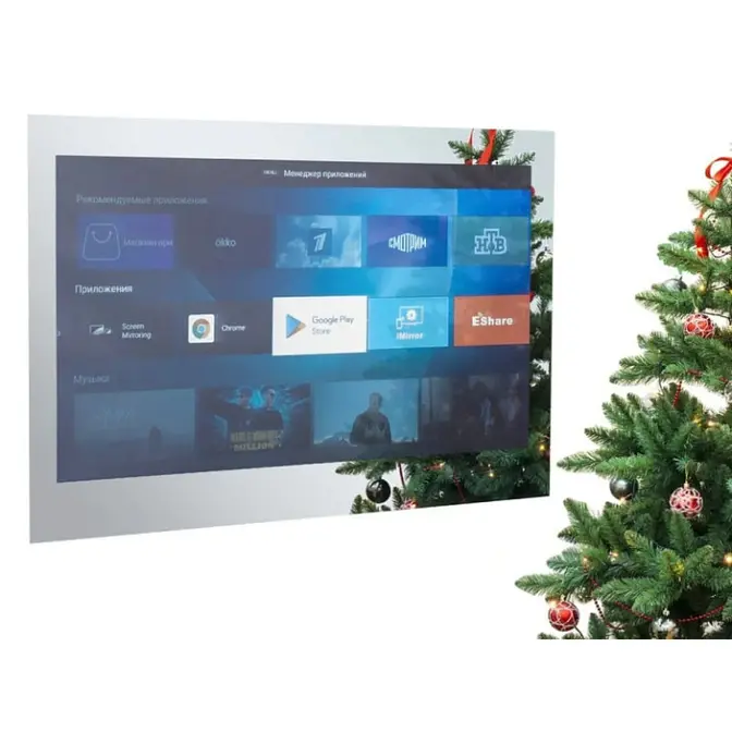 Телевизор для ванной комнаты AVEL AVS555SMFM (AVS555SM Mirror HB) фото 1 в Ростове-на-Дону