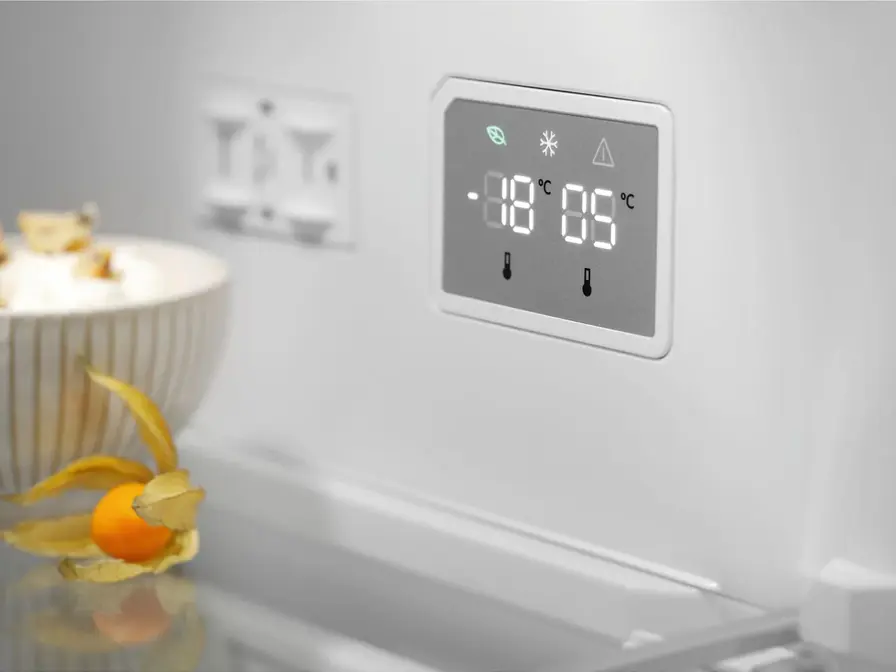 Холодильник ELECTROLUX LNT7ME36K2 фото 5 в Ростове-на-Дону