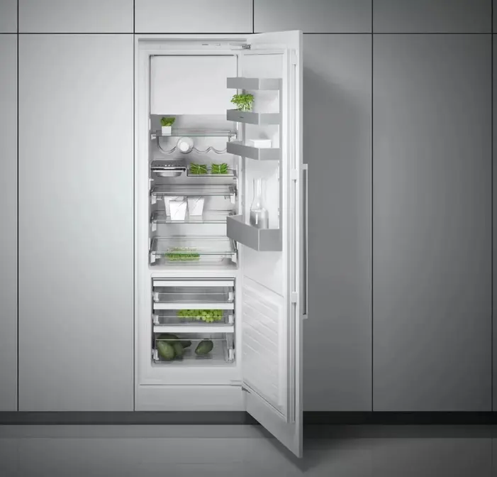 Холодильник Gaggenau RT 289-203 фото 2 в Ростове-на-Дону