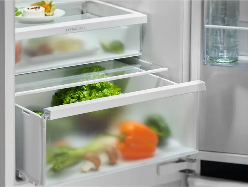 Холодильник Electrolux ENT6MD19S3 фото 4 в Ростове-на-Дону