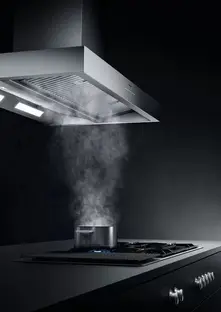 Вытяжка Gaggenau AI 442-100 фото 2 в Ростове-на-Дону Вытяжка Gaggenau AI 442-100 фото 2 в Ростове-на-Дону